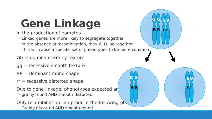 Summary of Aneuploidies Part 5 - Page 5