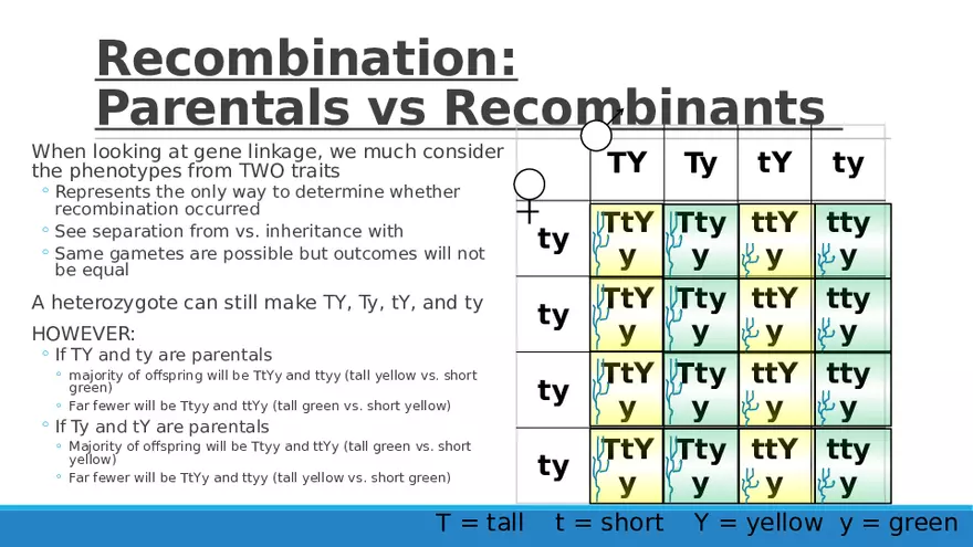 Summary of Aneuploidies Part 5 - Page 6