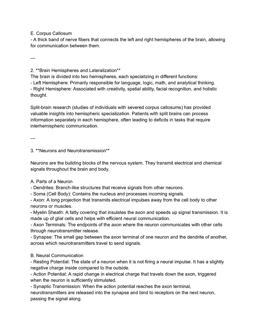 Overview of the Brain and Its Areas - Page 2