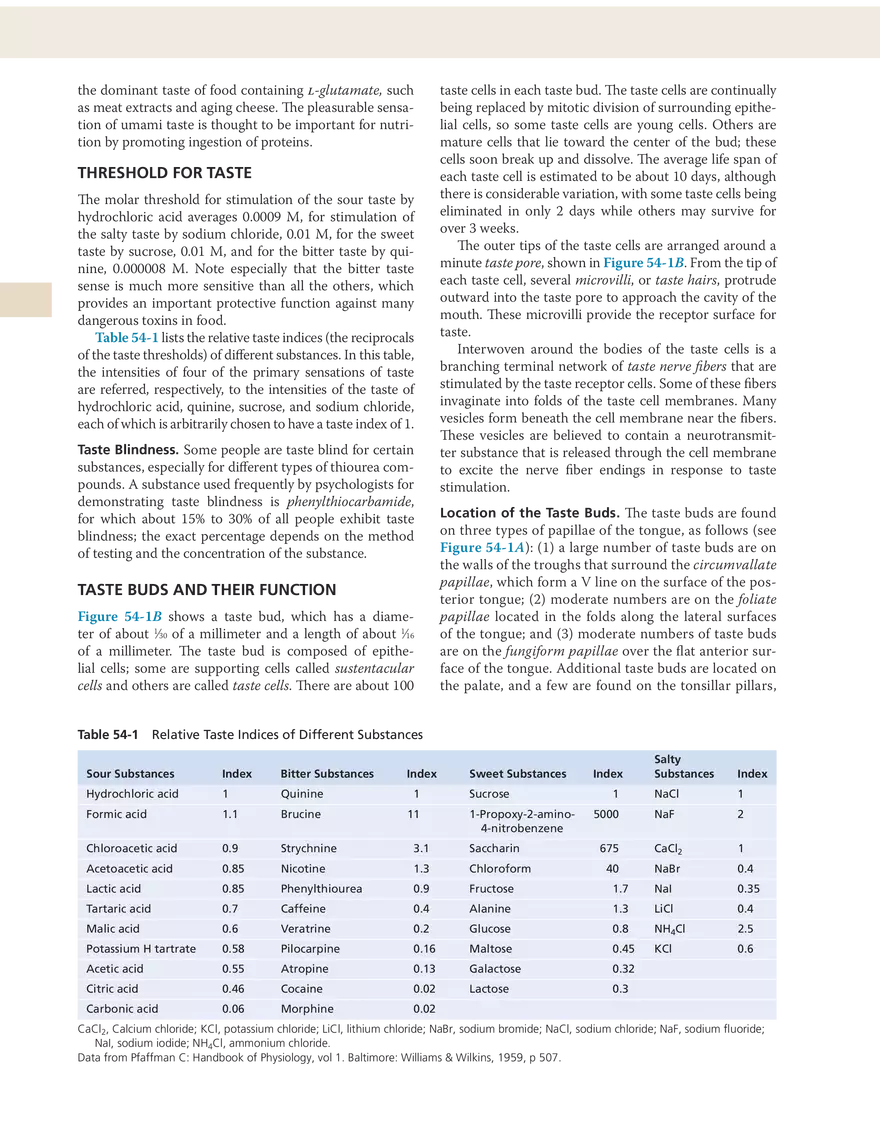 The Chemical Senses - Taste and Smell - Page 2