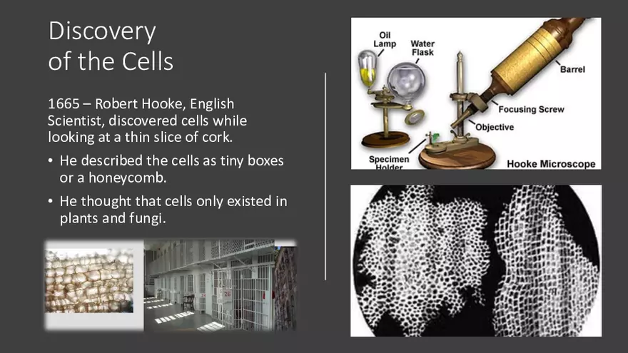 Discovery of the Cells Lecture - Page 2