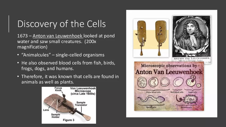 Discovery of the Cells Lecture - Page 3