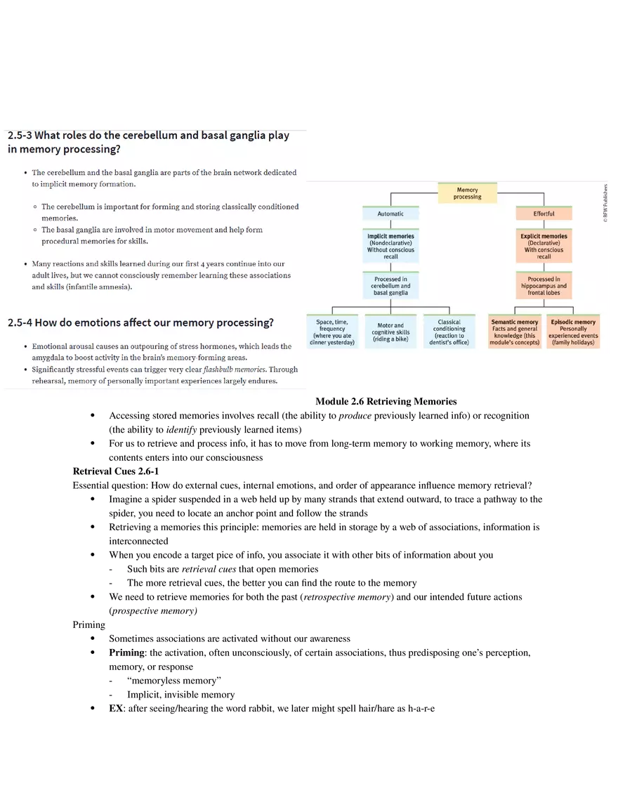 Psychology Unit 2 - Cognition (Part 3) - Page 1