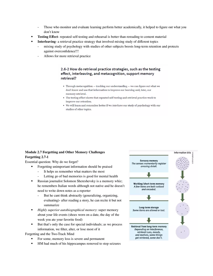 Psychology Unit 2 - Cognition (Part 3) - Page 3