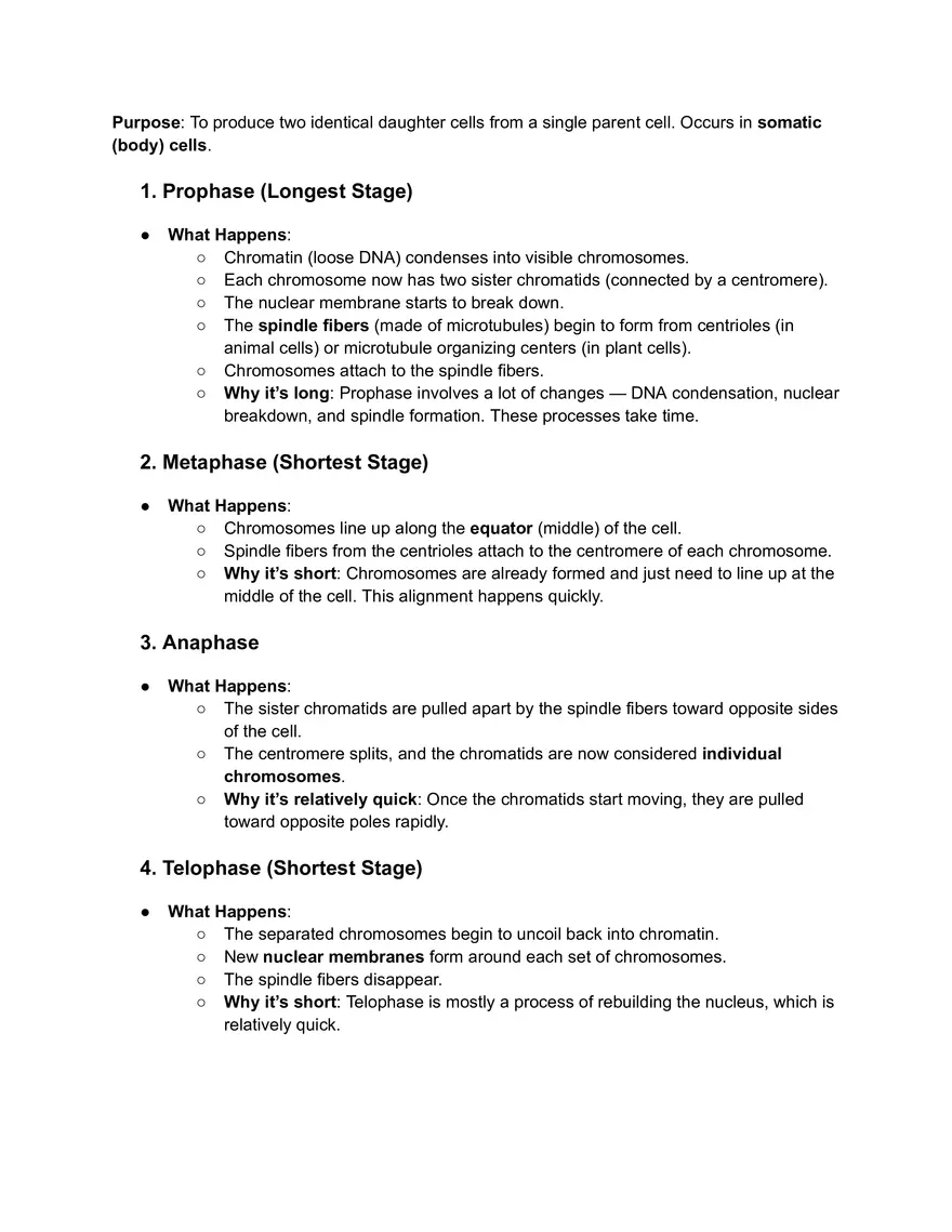 Prokaryotic vs. Eukaryotic Cells Guide - Page 4