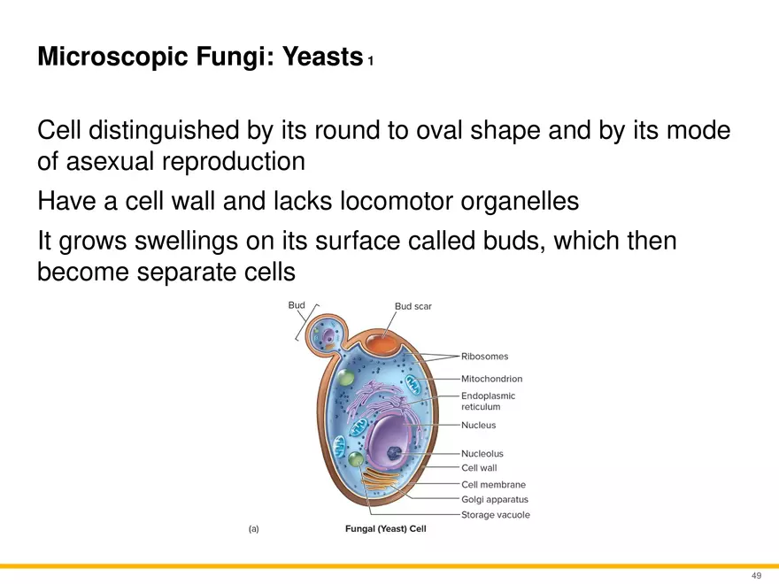 A Survey of Eukaryotic Cells and Microorganisms Part 5 - Page 8