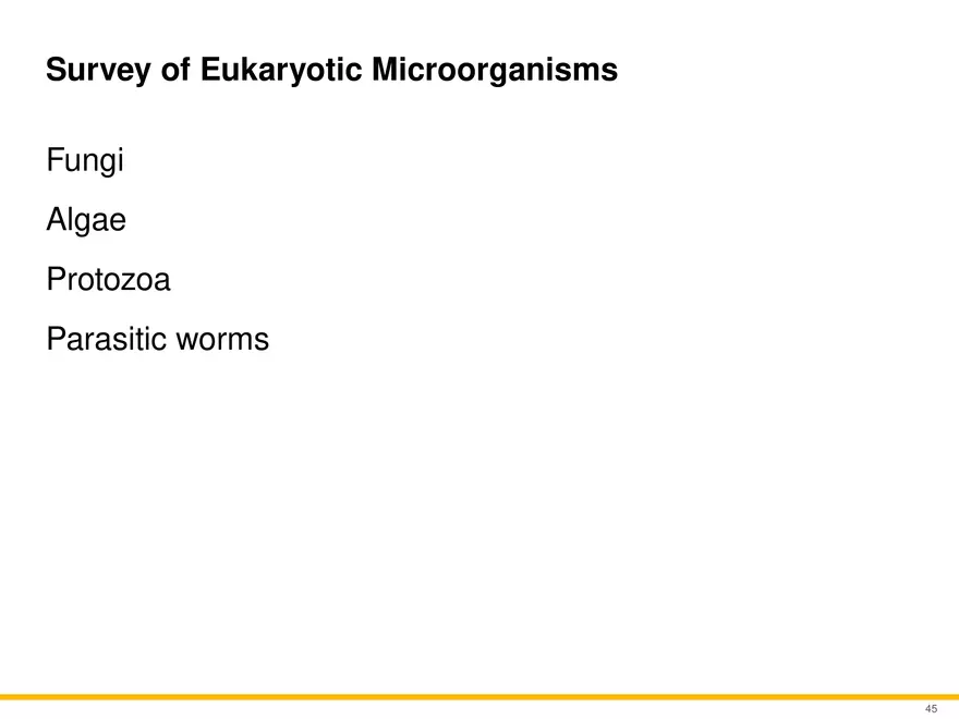 A Survey of Eukaryotic Cells and Microorganisms Part 5 - Page 4