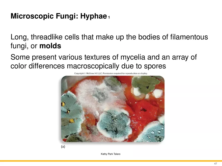 A Survey of Eukaryotic Cells and Microorganisms Part 5 - Page 6