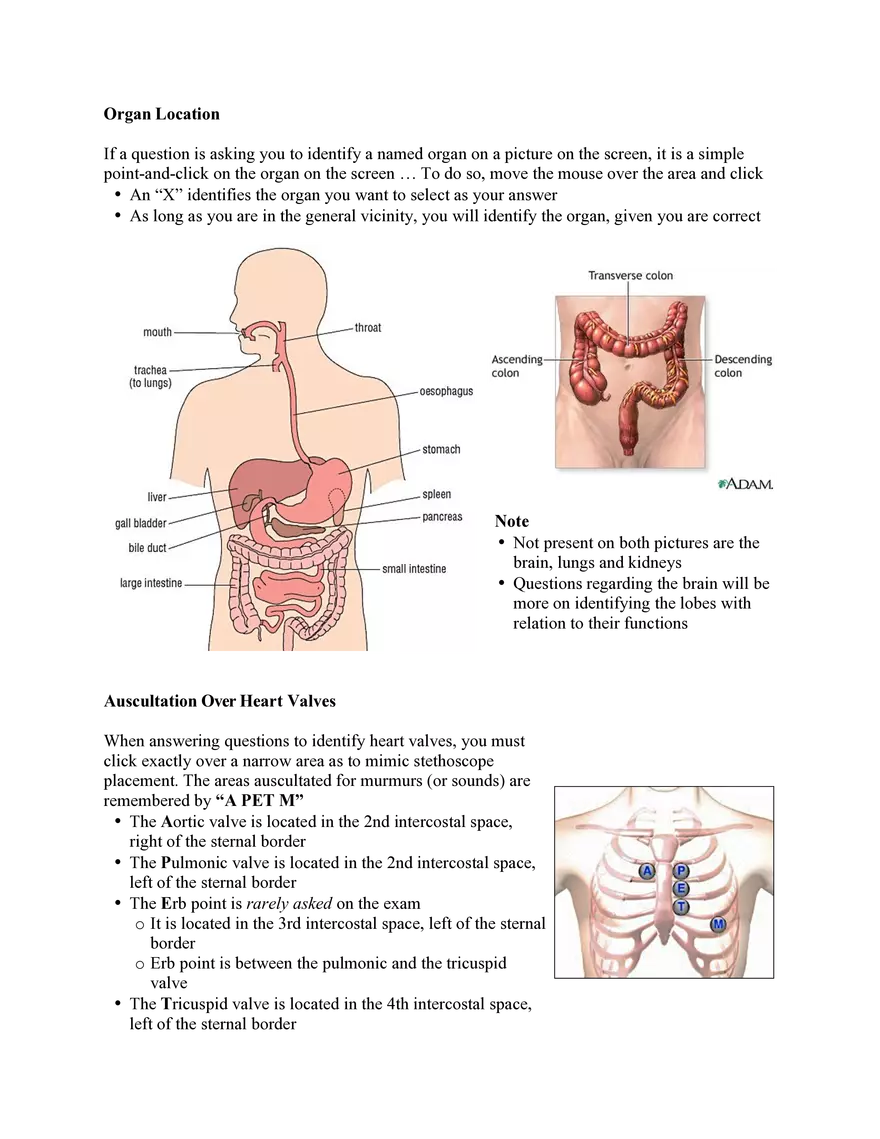 Nursing Exam Review Lecture 12 Prioritization, Delegation and Staff Management - Page 7
