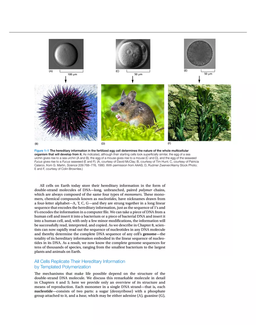 Cells, Genomes, and the Diversity of Life (Chapter 1) - Page 3