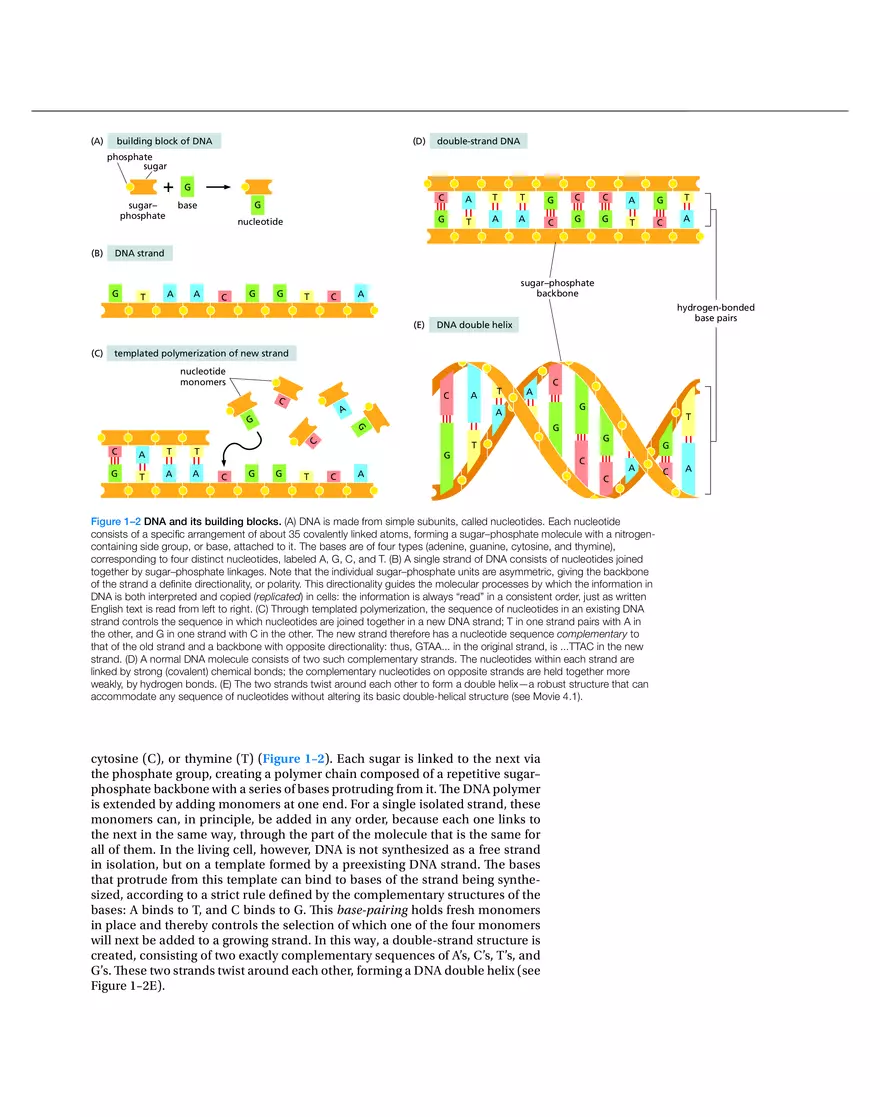 Cells, Genomes, and the Diversity of Life (Chapter 1) - Page 4