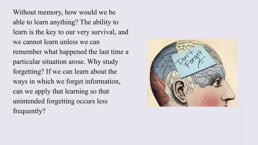 Unit 2 Cognitive Psychology - Introduction to Memory - Page 2