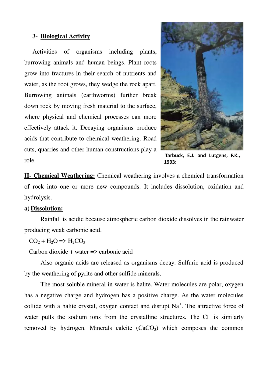 Weathering and Soil - Page 3