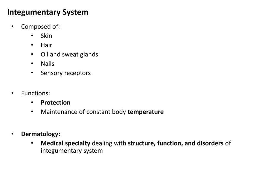 Integumentary System Lecture - Page 3