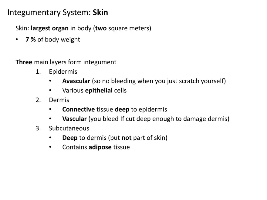 Integumentary System Lecture - Page 4