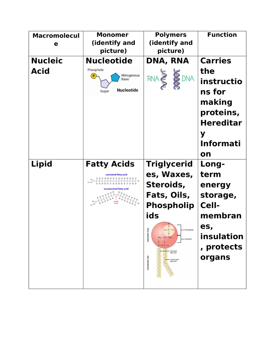 Acids, Bases, and Polarity pH and Molecular Behavior - Page 3
