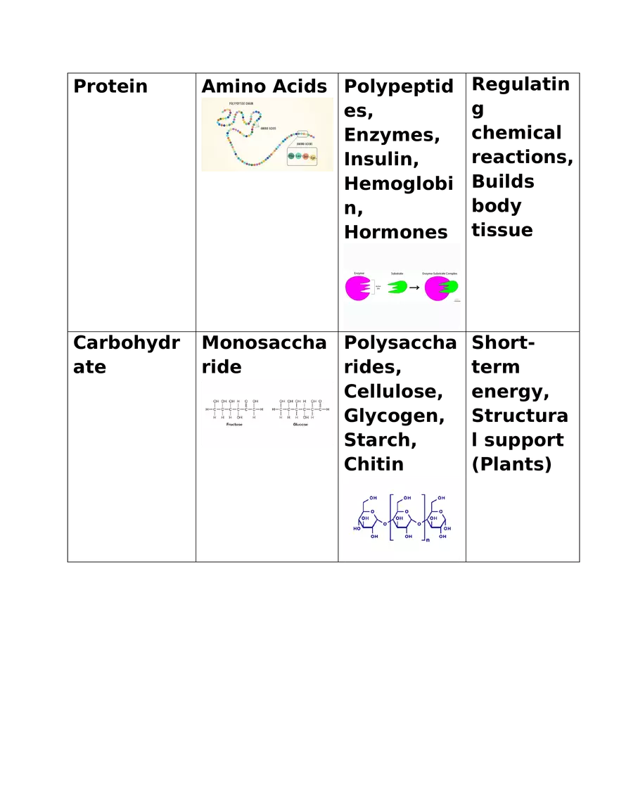 Acids, Bases, and Polarity pH and Molecular Behavior - Page 4