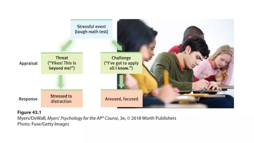 Mental and Physical Health Chapter 5 Part 1 - Page 9