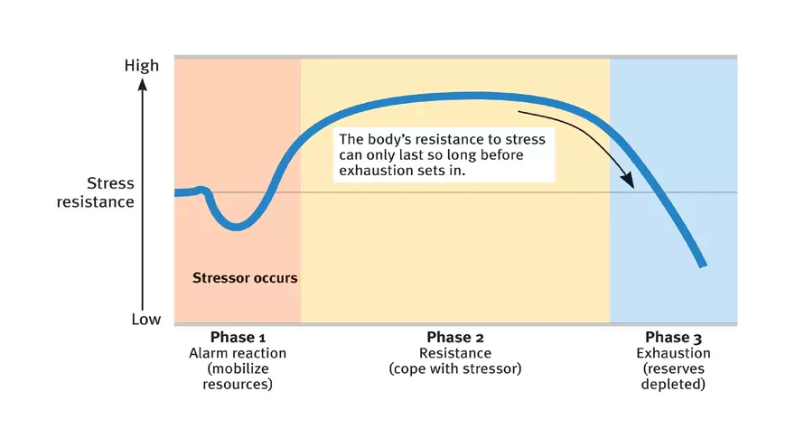 Mental and Physical Health Chapter 5 Part 1 - Page 12