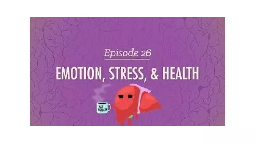 Mental and Physical Health Chapter 5 Part 1 - Page 4