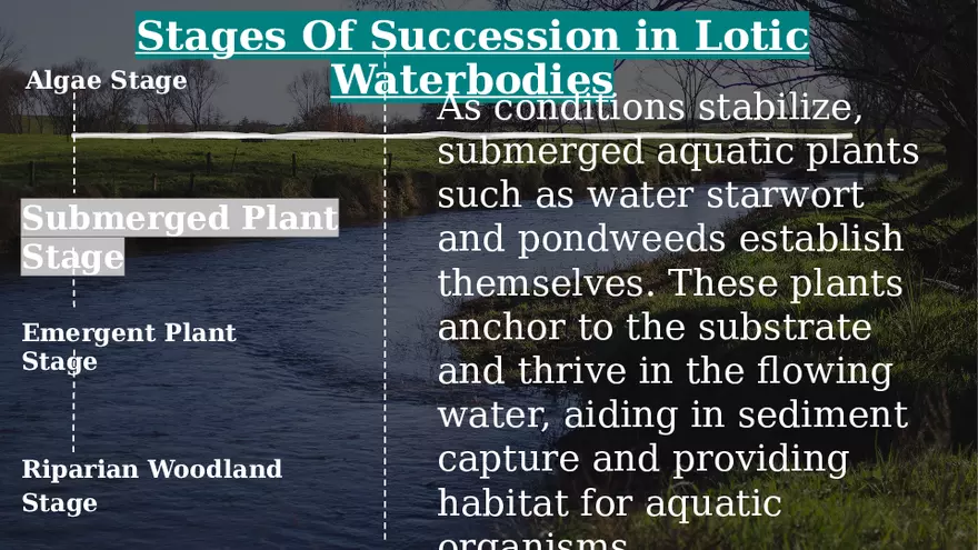 Aquatic Succession In Lentic and Lotic Water - Page 7