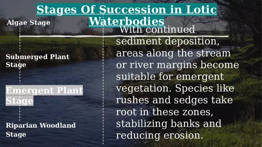 Aquatic Succession In Lentic and Lotic Water - Page 8