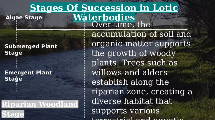 Aquatic Succession In Lentic and Lotic Water - Page 9