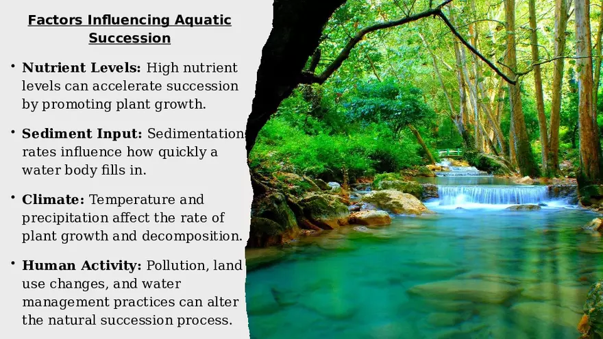 Aquatic Succession In Lentic and Lotic Water - Page 10