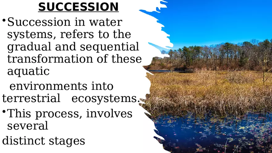 Aquatic Succession In Lentic and Lotic Water - Page 11