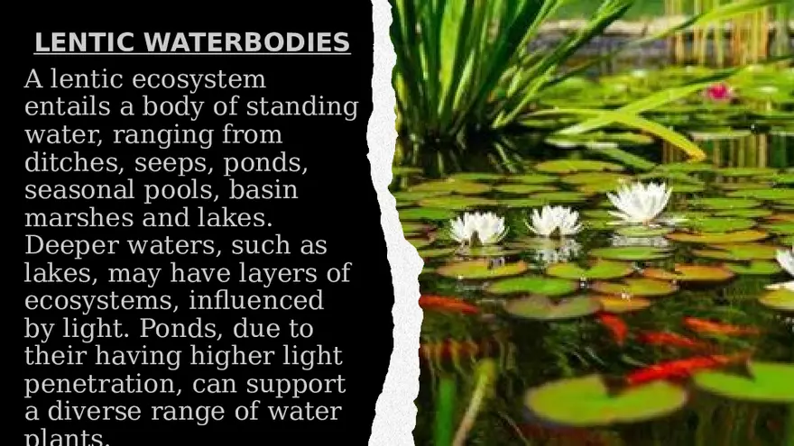 Aquatic Succession In Lentic and Lotic Water - Page 12