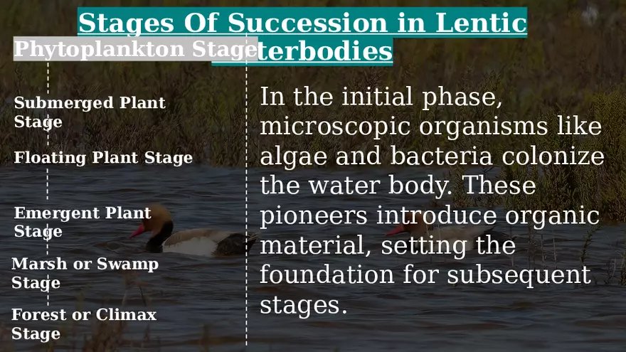 Aquatic Succession In Lentic and Lotic Water - Page 14
