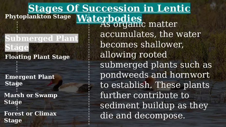 Aquatic Succession In Lentic and Lotic Water - Page 15