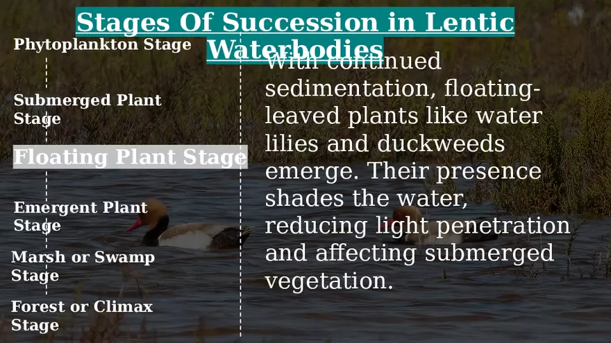 Aquatic Succession In Lentic and Lotic Water - Page 16