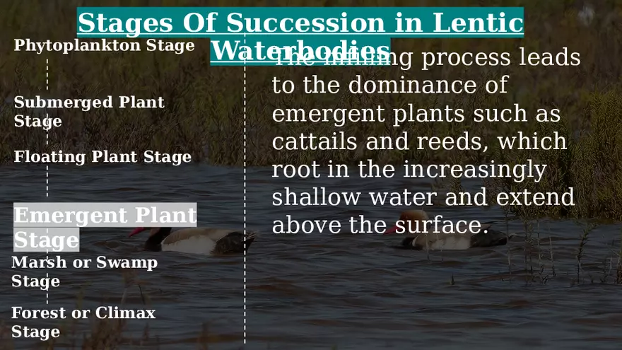 Aquatic Succession In Lentic and Lotic Water - Page 17