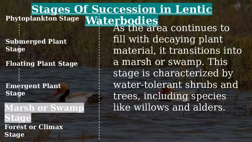 Aquatic Succession In Lentic and Lotic Water - Page 18