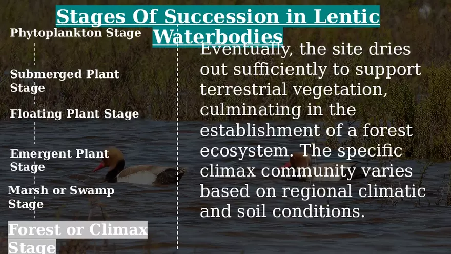 Aquatic Succession In Lentic and Lotic Water - Page 3