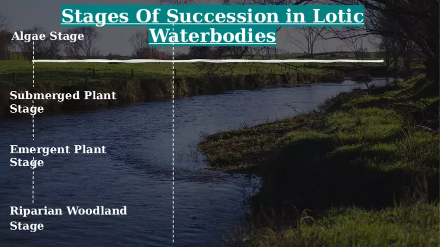 Aquatic Succession In Lentic and Lotic Water - Page 5