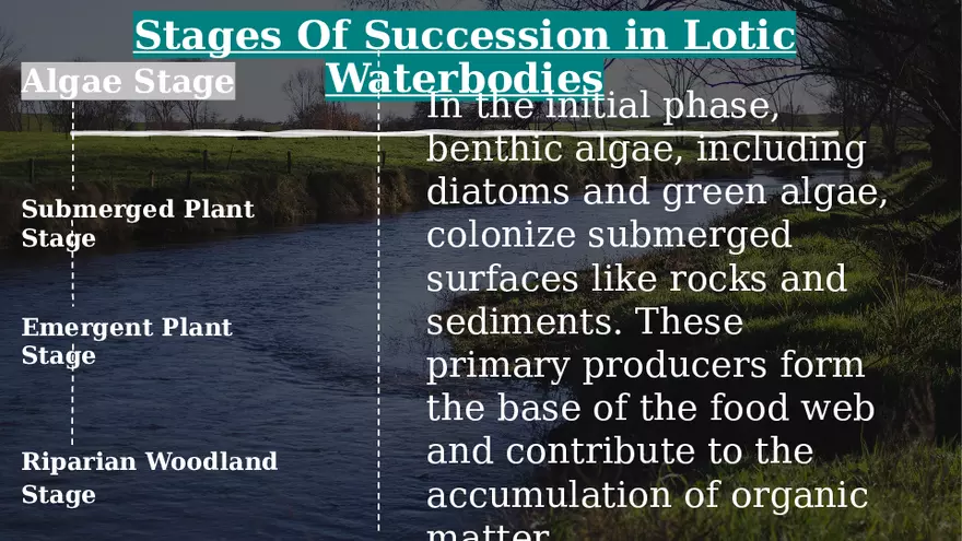 Aquatic Succession In Lentic and Lotic Water - Page 6