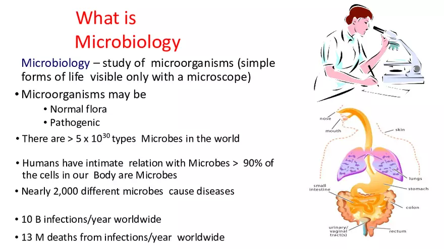 Bacterial Classification and Structure - Page 2