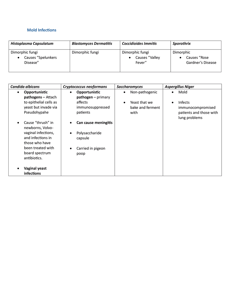 Bacteria & Mold Chart - Page 3