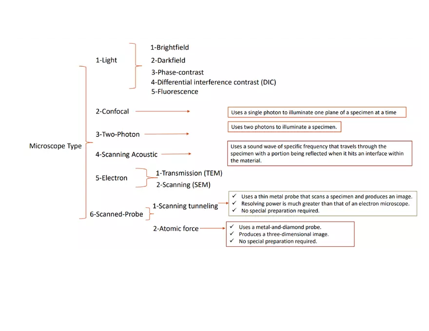 Exploring Continuity and Diversity of Life - Page 3