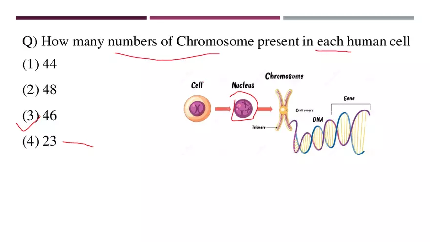General Science 4 Questions - Page 2