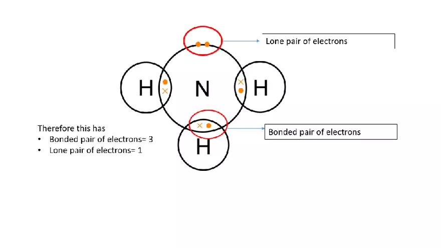 Rotation, Length, Strength Differences Lecture - Page 7