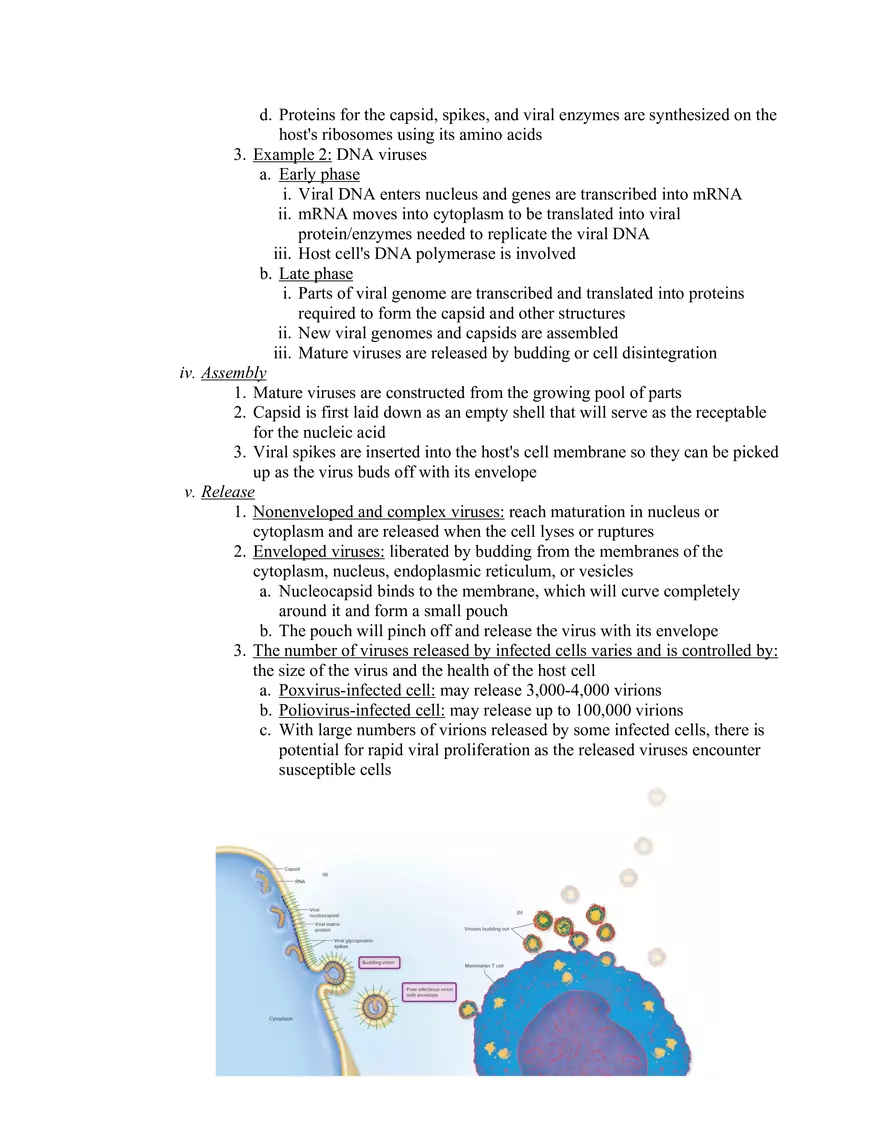Viruses and Prions Lecture Notes - Page 4