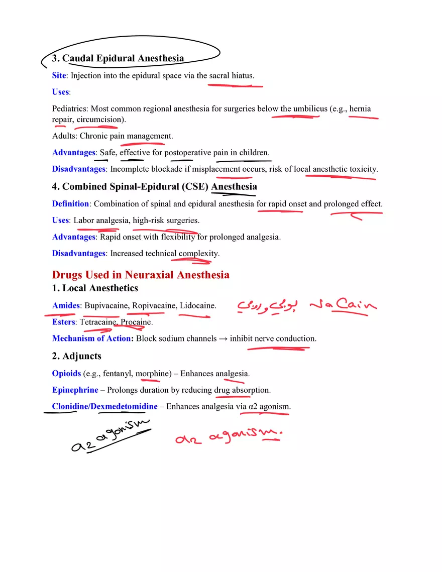 Neuraxial Anesthesia - Page 3