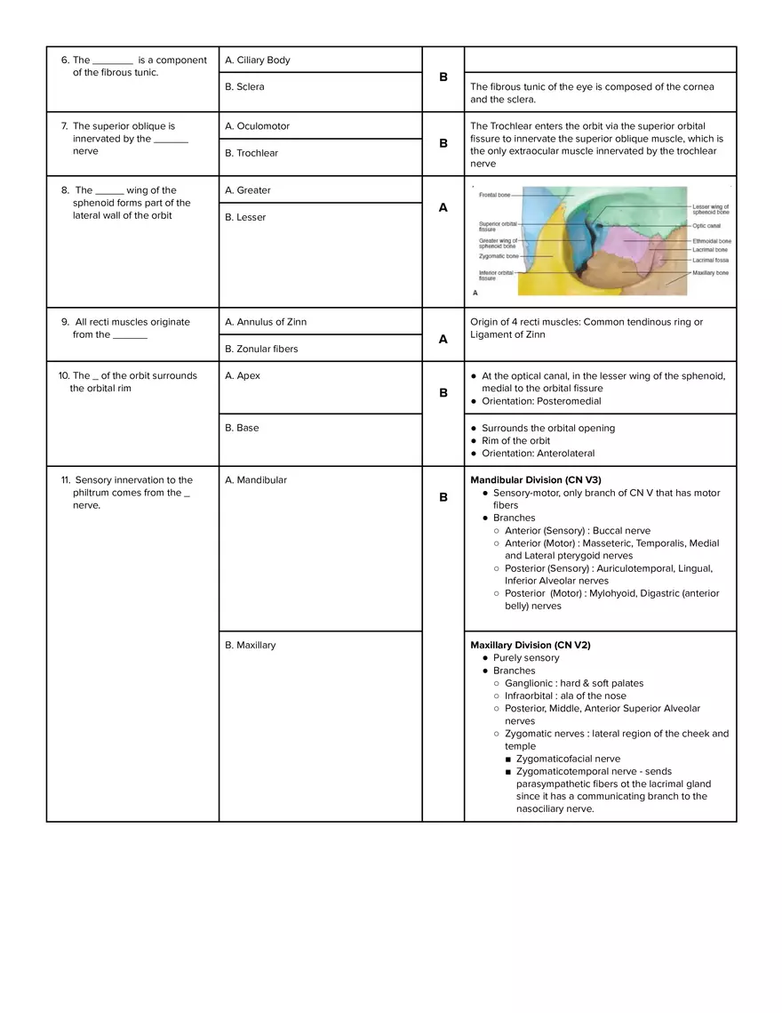 Ears, Nose, Paranasal Sinuses, Eyes and Orbital Structures, Thorax and Breast - Page 2