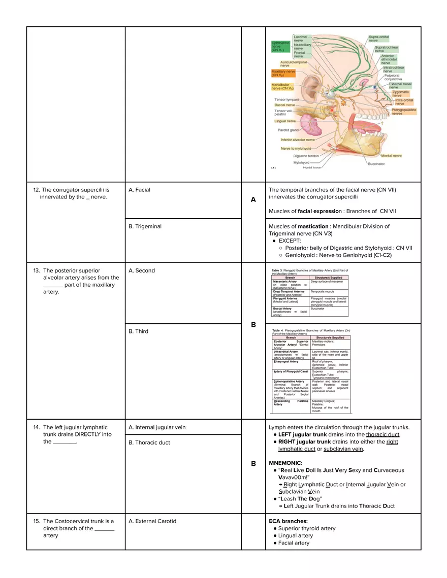 Ears, Nose, Paranasal Sinuses, Eyes and Orbital Structures, Thorax and Breast - Page 3