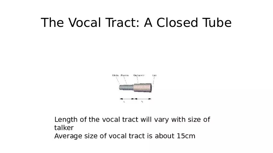 Source-Filter Theory - Page 11