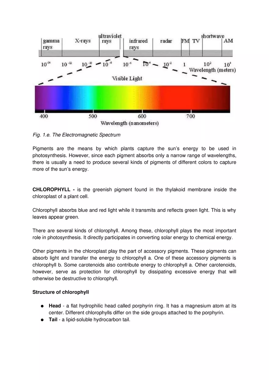 ATP-ADP Cycle - Page 5