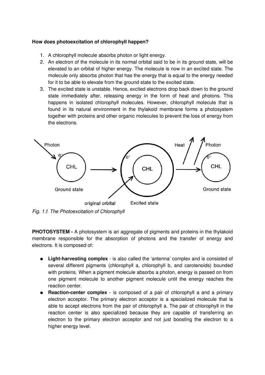 ATP-ADP Cycle - Page 6
